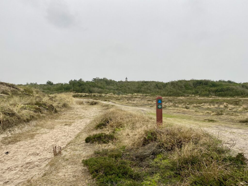 Penbjergruten - Vandreture i Thy lange ruter