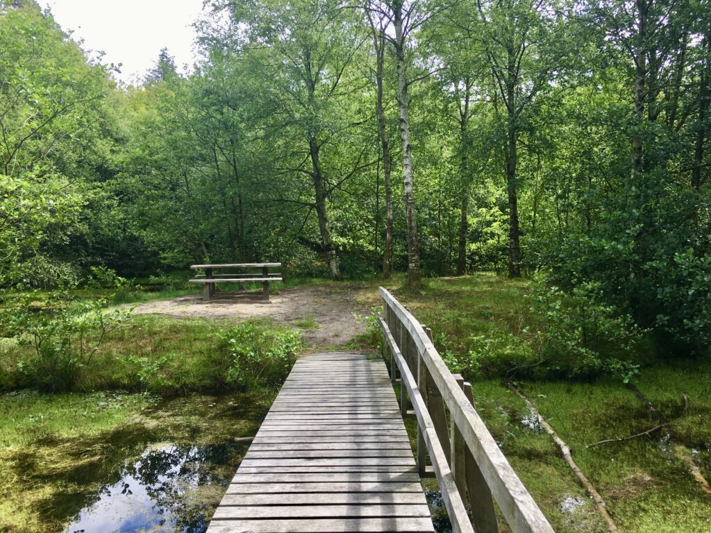 Rindbæk ruten - Vandreture i Thy