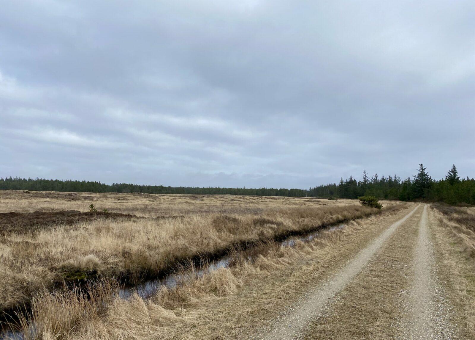 Nakorsakruten med Røddekjær - Vandreture i Thy