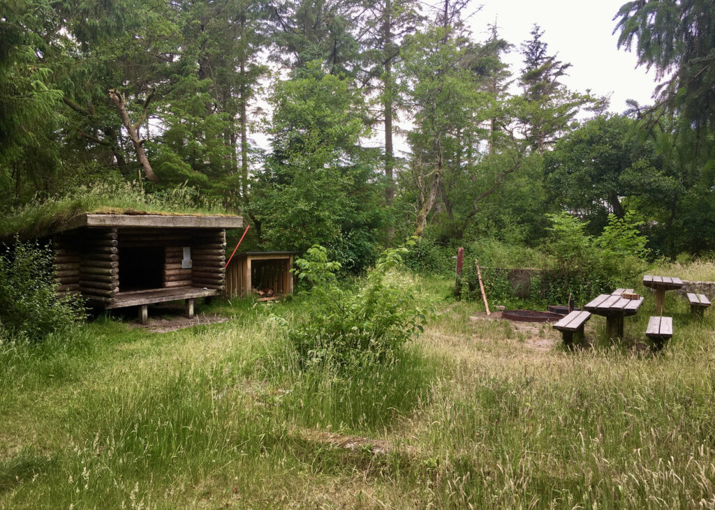 Madsbøl Plantage shelter - Sov i Thy