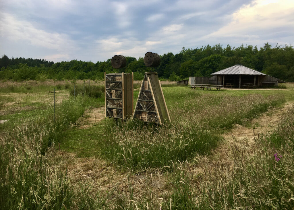 Hundredeskoven shelter - Sov i Thy