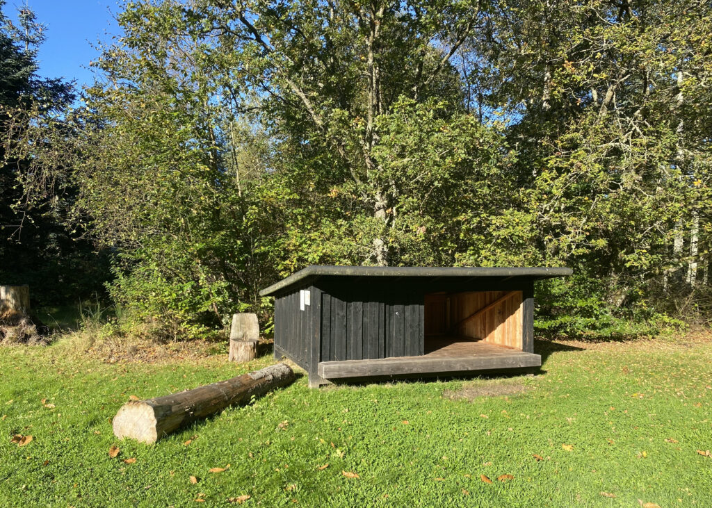 Østerild Klitplantage shelter - Sov i Thy