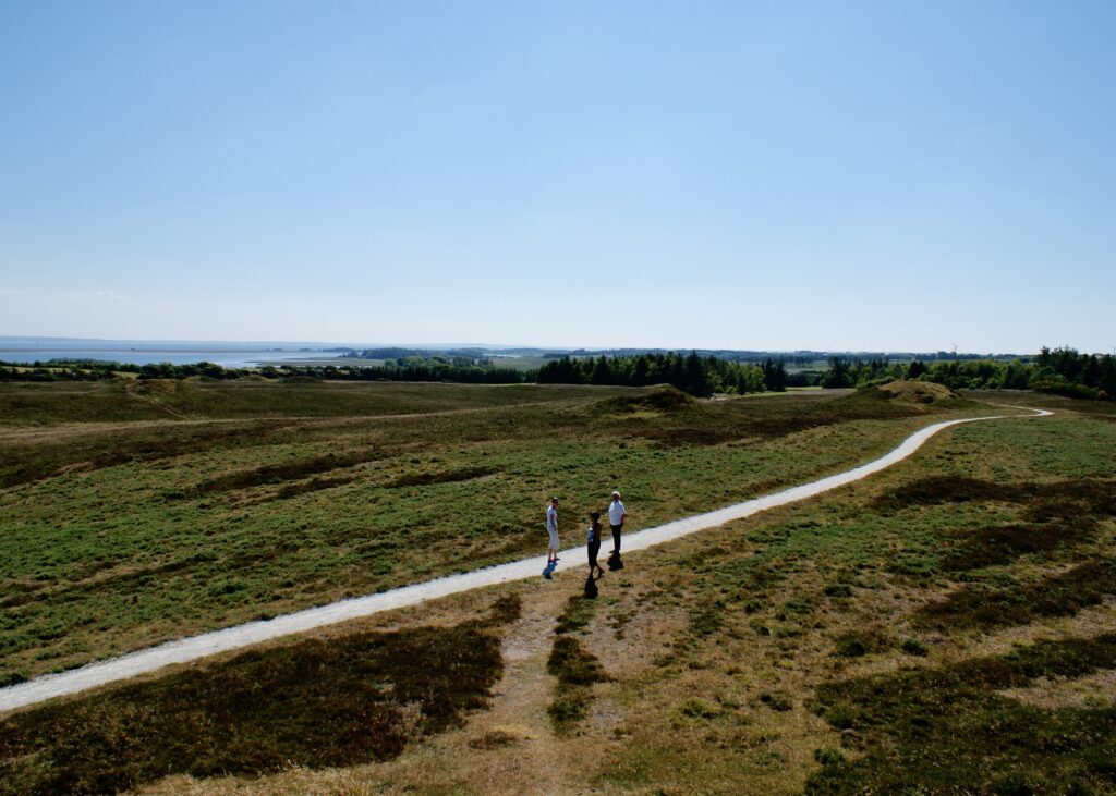 Ydby Hede rundturen - Vandreture i Thy - korte ruter