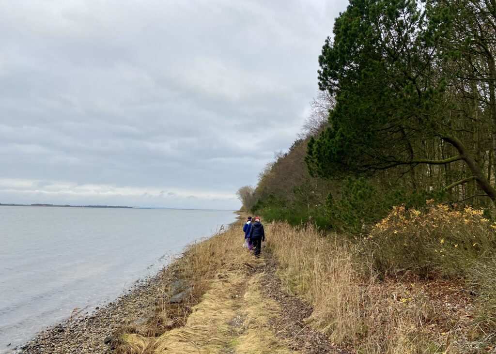 Ydby Hede rundturen - Vandreture i Thy