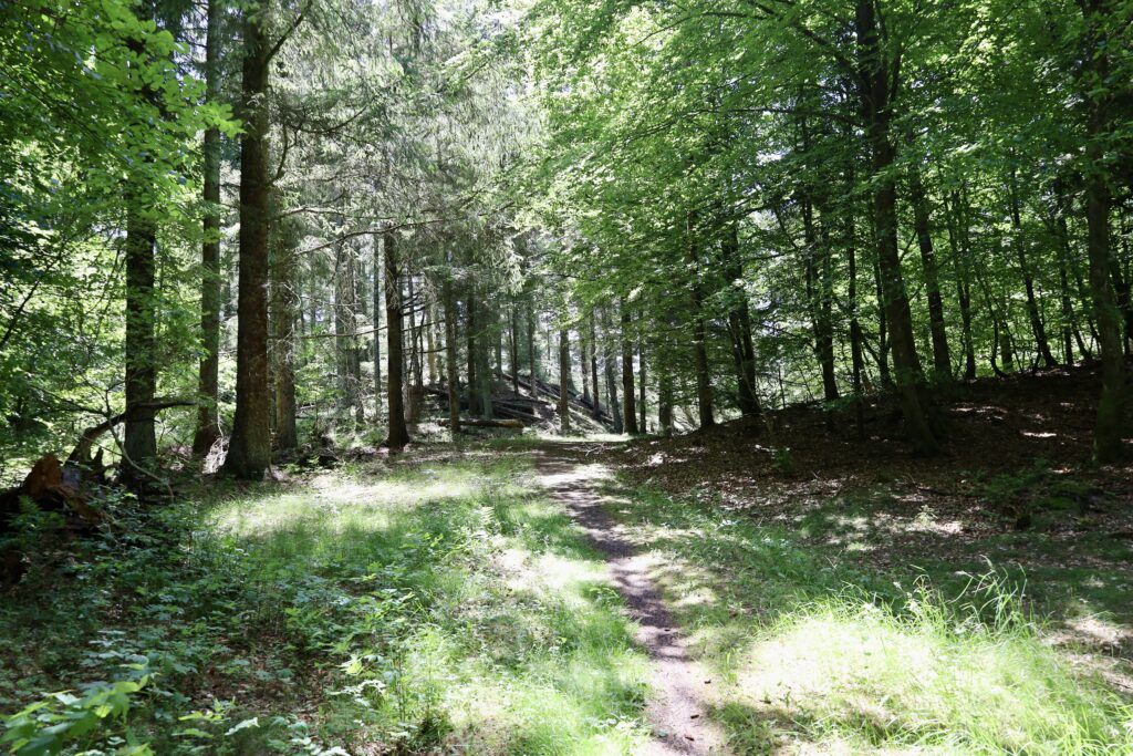 Gul rute ved Boligvej - Vandreture i Thy