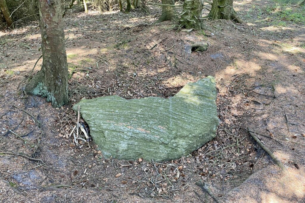 Sagnstenen på Vegebjerg