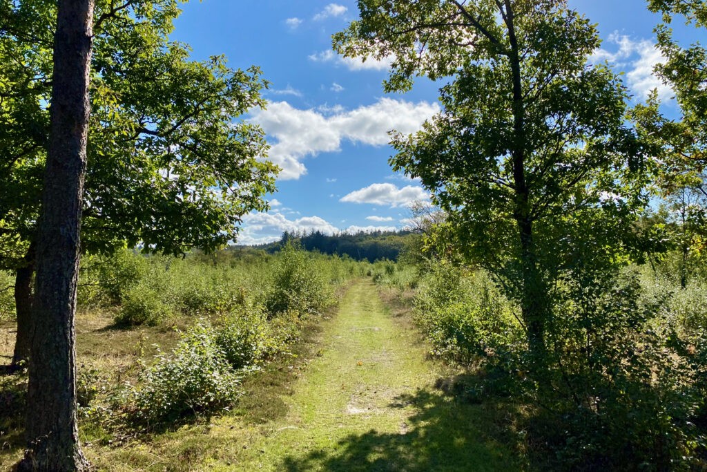 Nystrupgårdruten - Vandreture i Thy