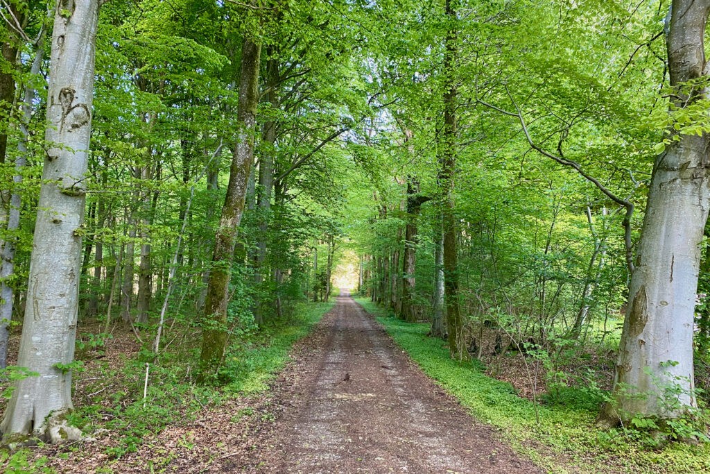 Vangså ruten - Cykelture i Thy