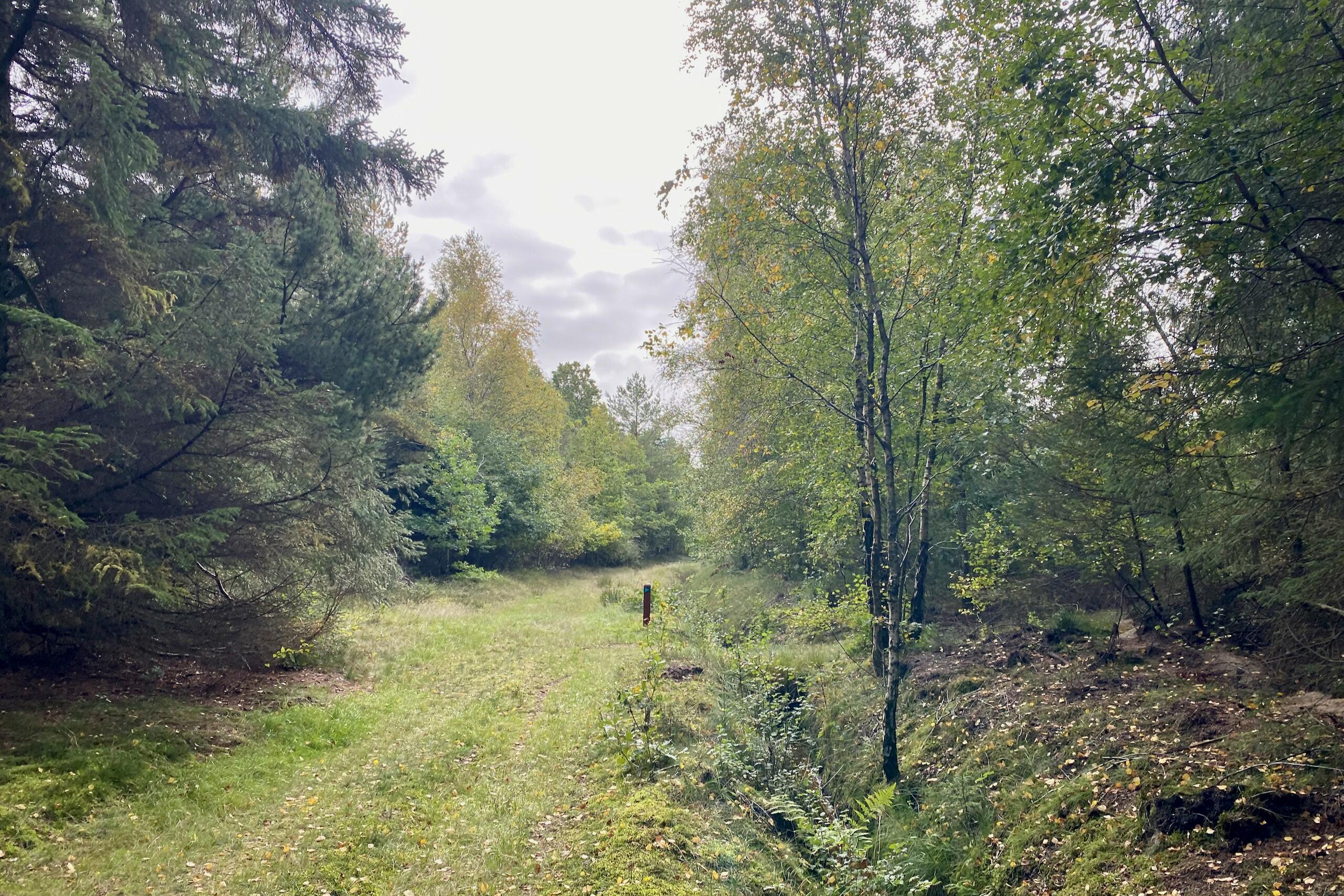 Lomborgruten - Vandreture i Thy