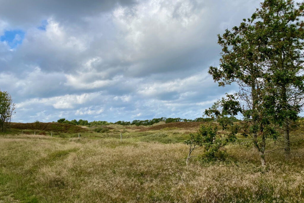 Plantør Hansens Rute - Vandreture i Thy