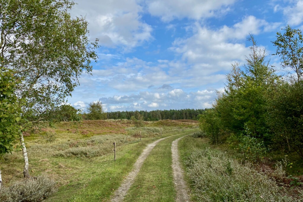 Plantør Hansens Rute - Vandreture i Thy