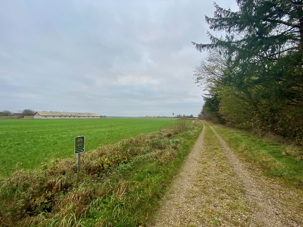 410 - Oplev Naturens Kræfter