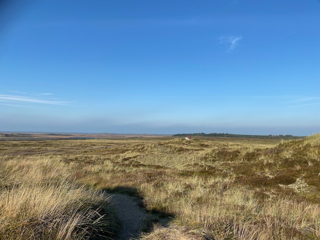 IMG_7387 Isbjerg