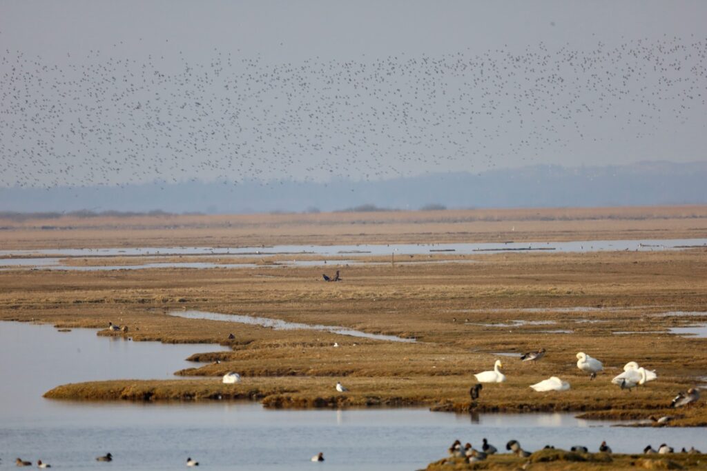 Bygholmskjulet ved Naturrummet