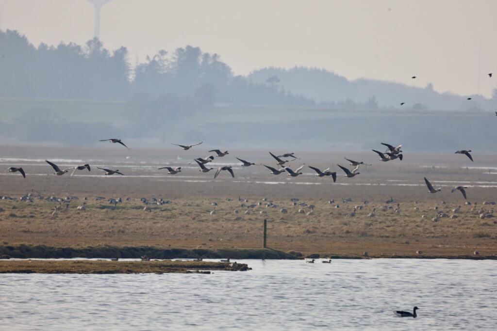Bygholmskjulet ved Naturrummet