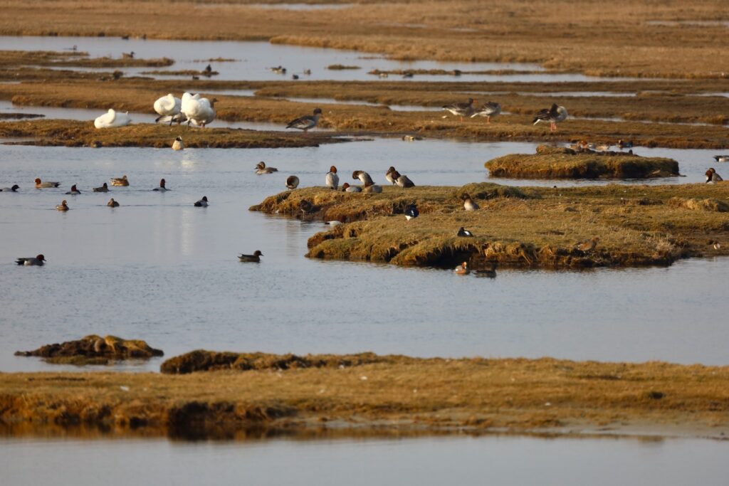 Bygholmskjulet ved Naturrummet