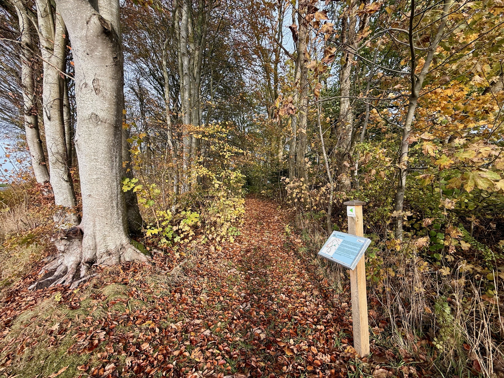 Heltborg Sydøst - Vandreture i Thy