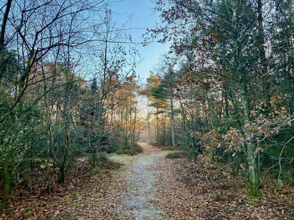 Rævehale ruten  - Vandreture i Thy