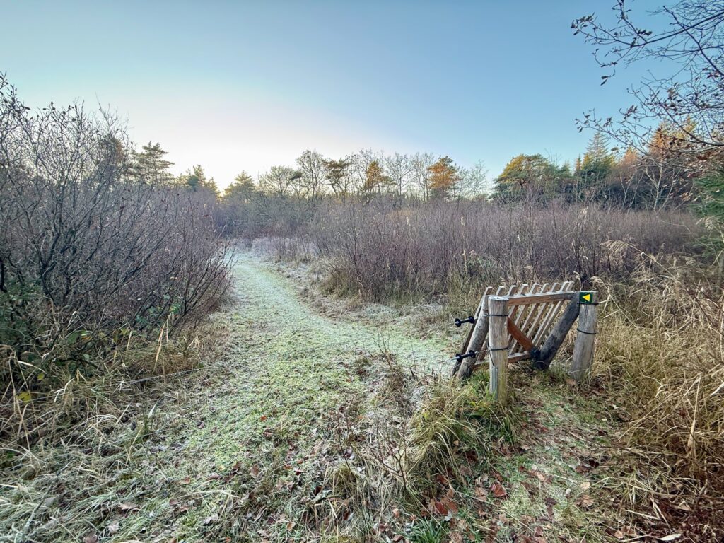 Rævehale ruten  - Vandreture i Thy