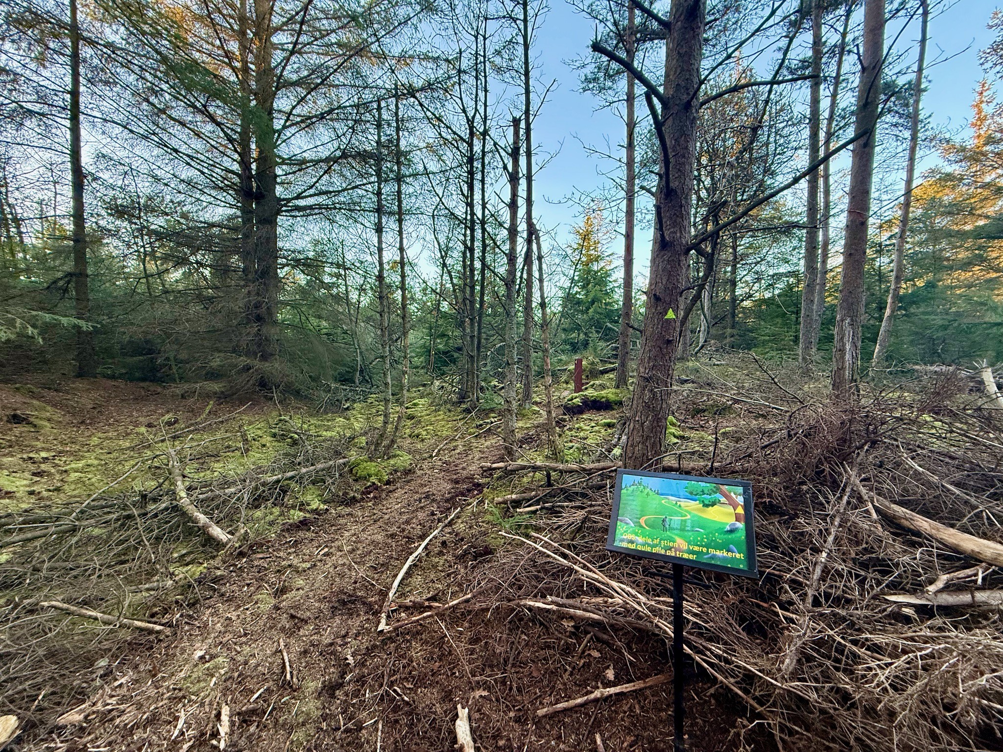 Rævehale ruten  - Vandreture i Thy