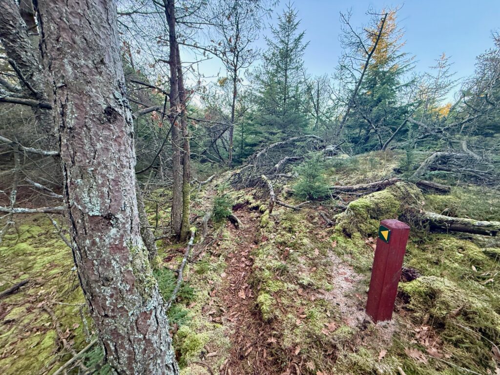 Rævehale ruten  - Vandreture i Thy