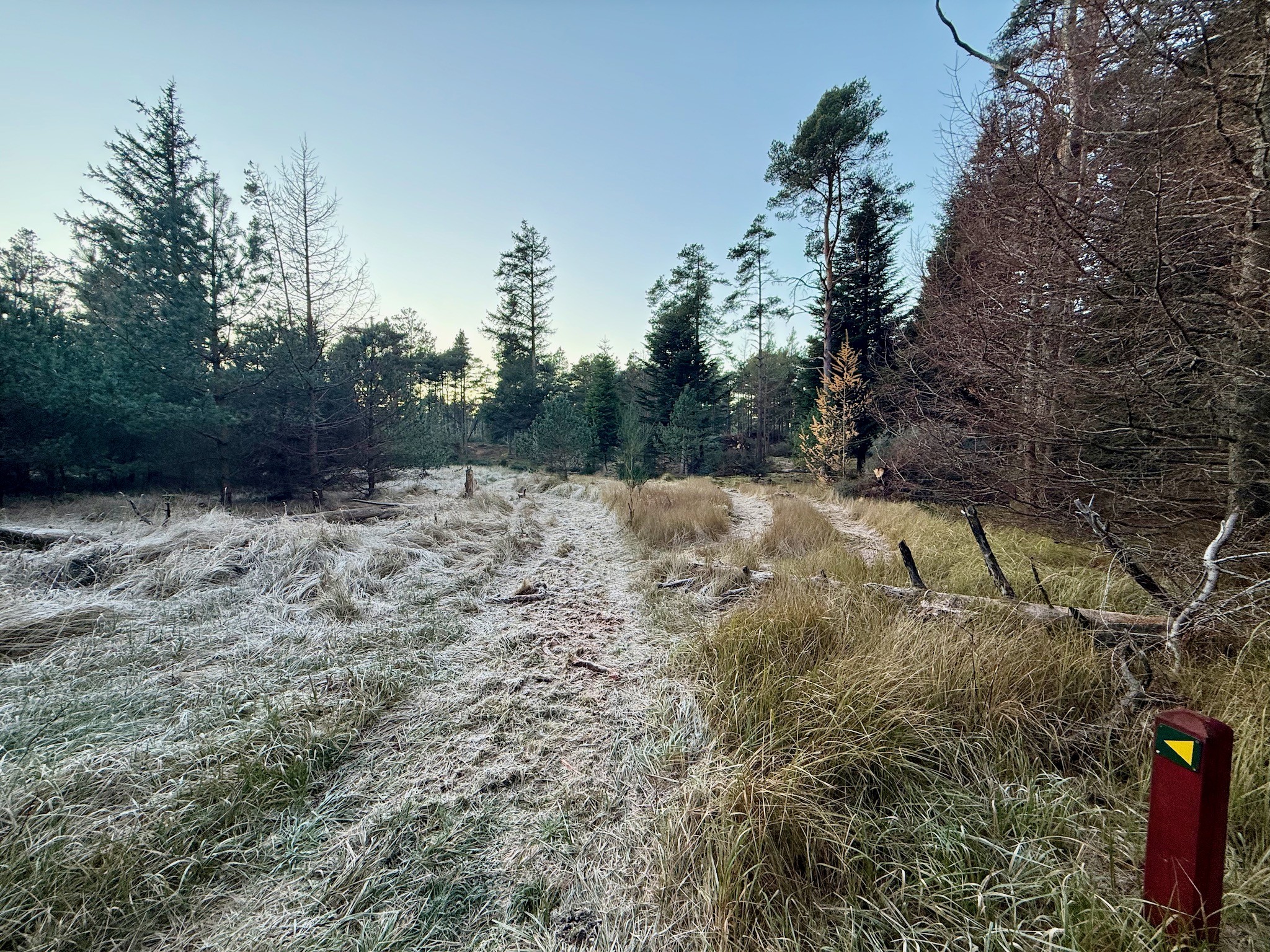 Rævehale ruten  - Vandreture i Thy