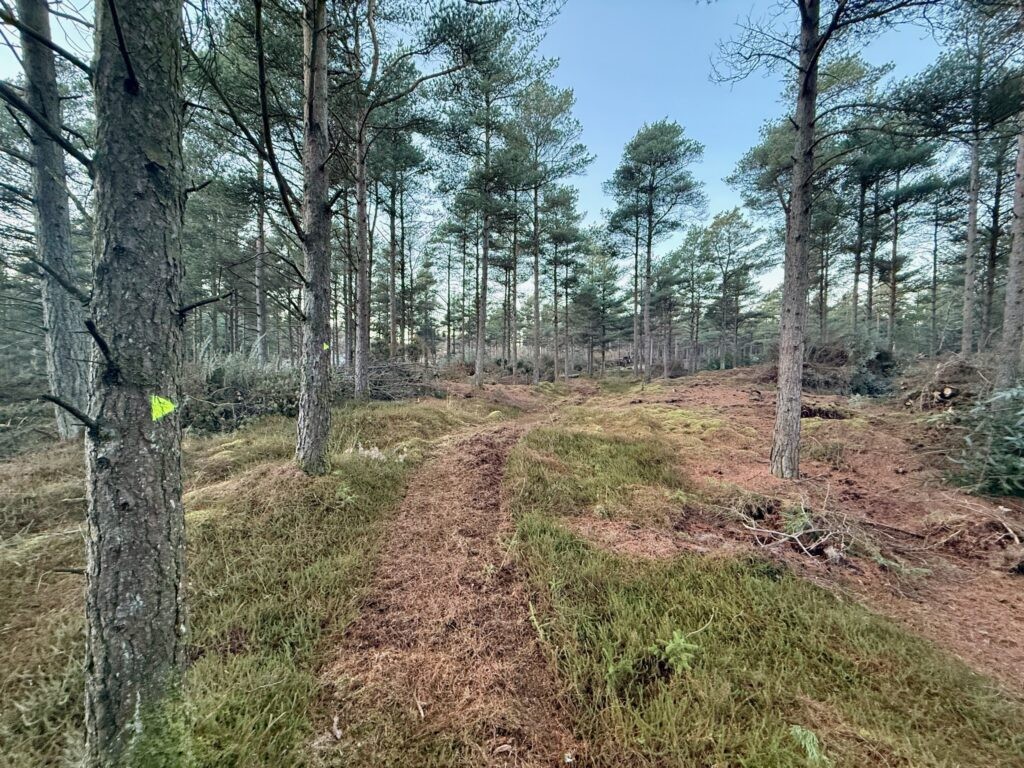 Rævehale ruten  - Vandreture i Thy